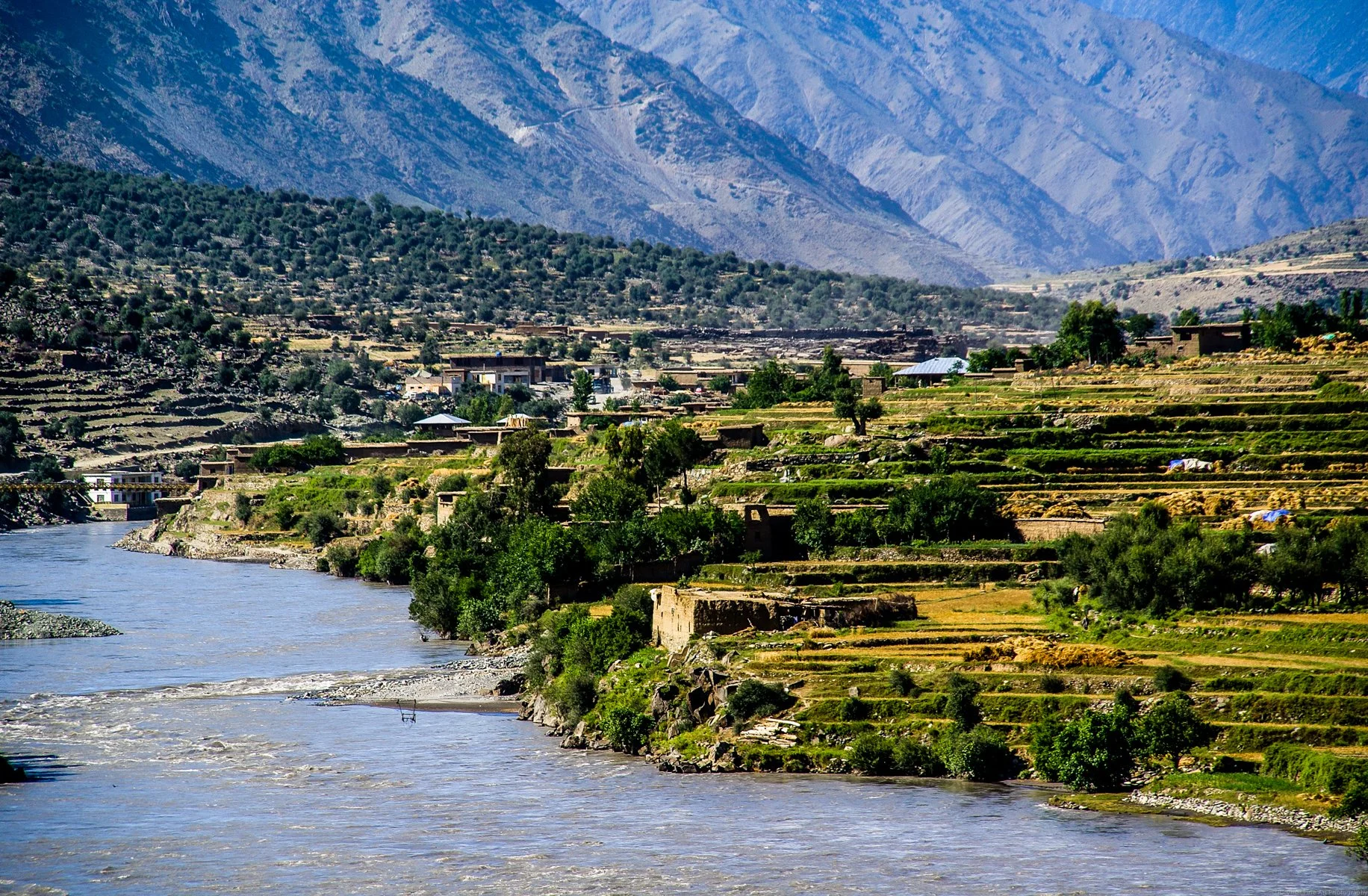 Donate to SHIFA Afghan